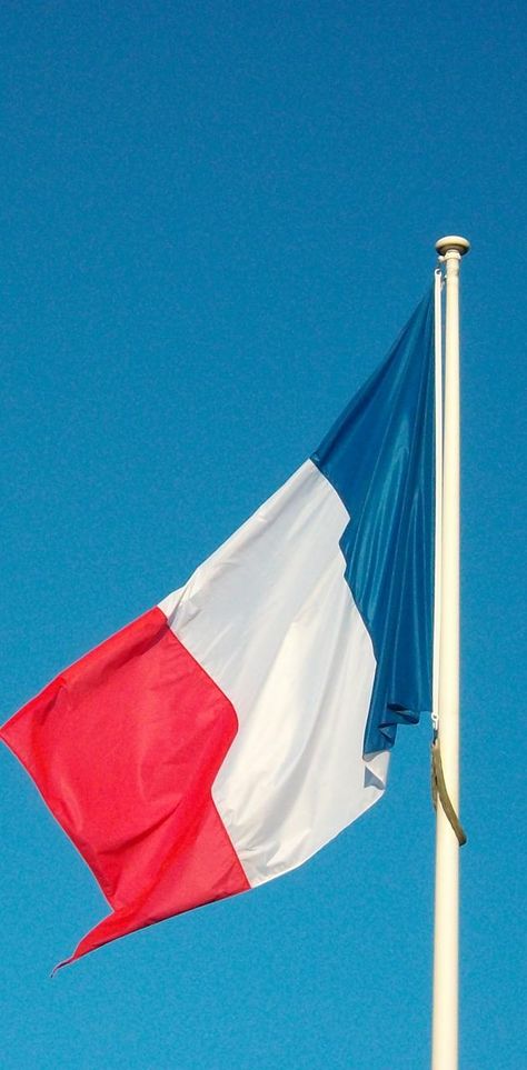 French Flag Wallpaper, France Flag Wallpaper, France Landmarks, France Wallpaper, Flag Wallpaper, Real Madrid Wallpapers, Wallpaper Hp, Madrid Wallpaper, France Flag