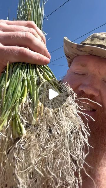 Nate Muri on Instagram: "Planting Onions Like A BOSS!

Onions are a truly amazing crop to grow yourself but they can be somewhat labor-intensive, so in this video, I show you how I like to plant them.

If you follow along with my YouTube channel, then you have already sewn your onion seeds in flats and now I want to show you how easy it is to separate them and plant them .

#Naturelovers #garden #organic #plants #plantsmakepeoplehappy #homegrown #houseplants #mygarden #growyourown #growyourownfood #gardens #plantlover #gardensofinstagram #gardenersofinstagram #gardenlife #gardeningtips #gardeningisfun #gardeninglove #gardeningismythearapy #gardeningmakesmehappy #plantlife #plantdad #jadam #beyondorganic #naturalfarming #gardenlikeaviking #teamviking #plantdaddy #onions" Onion Seeds, Planting Onions, Natural Farming, Organic Plants, Grow Your Own Food, Grow Your Own, Like A Boss, Plant Life, Plant Lover