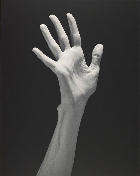 Lucinda's Hand, 1985 Hands Study, Hand Photography, Robert Mapplethorpe, Hand Drawing Reference, Hand Reference, Anatomy Study, Human Reference, Anatomy Drawing, Figure Drawing Reference