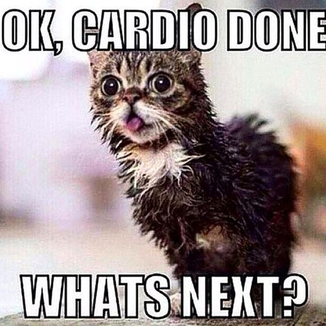 “Starting the day off right! Happy Sunday everyone :)” Gym Meme, Workout Memes Funny, Gym Humour, Laughing Funny, Fitness Memes, Fitness Funny, Fitness Humor, Funny Fitness, Gym Quote