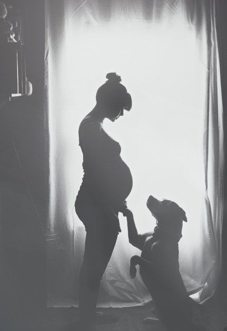 These maternity photos got so much cuter when the family dog showed up Baby Belly Photos, Unique Maternity Photos, Belly Photos, Maternity Photography Poses Pregnancy Pics, Baby Bump Photos, Pregnant Dog, Photos With Dog, Bump Photos, Baby Sleep Problems