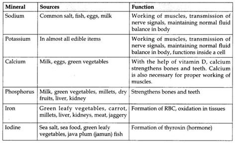 RBSE Class 10 Science Notes Chapter 1 Food and Human Health – RBSE Guide Class 10 Science Notes, Class 10 Notes, Chapter Notes, Deficiency Diseases, Class 10 Science, Importance Of Water, Nutrition Classes, Bloated Stomach, Health Class