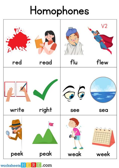 Homophones With Pictures, 100 Homophones Words Worksheets For Students F2E Homophones With Pictures, English For Beginners For Kids, Homophones For Kids, Homonyms Words List, Homonyms Words, Homophones Worksheets, Homophones Words, Student Images, Word Family Activities