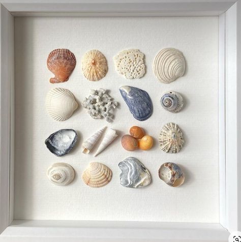 Seashell Art Diy, Art Coquillage, Seashell Wall Art, Shells Diy, Island Theme, Shell Crafts Diy, The Last Drop, Shell Decor, Sea Glass Crafts