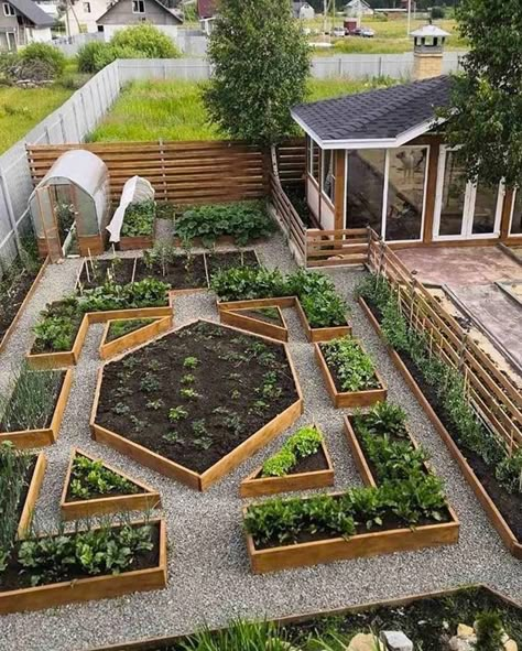 Plan Potager, Backyard Garden Layout, Potager Garden, Veg Garden, Home Vegetable Garden, Outdoor Gardens Design, Greenhouse Gardening, Vegetable Garden Design, Backyard Garden Design