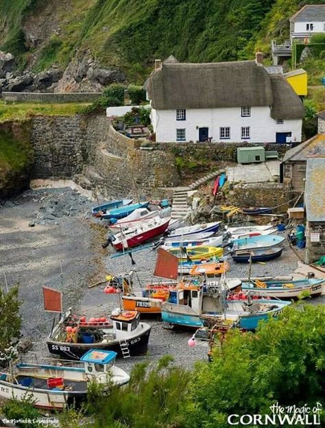 Cadgwith Cove Cornwall, England Painting, Kentish Town, South West Coast Path, Doc Martin, Play Piano, English Village, Devon And Cornwall, Seaside Village