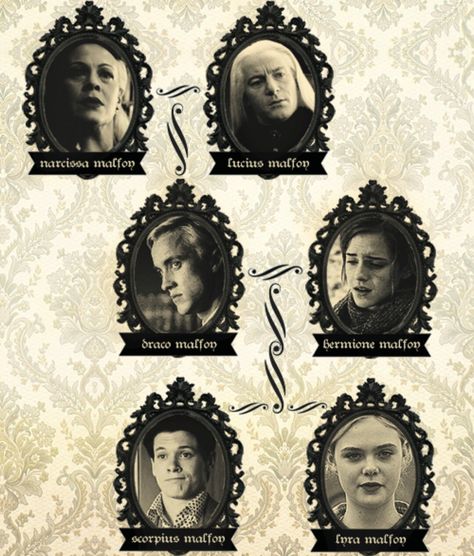 Real Malfoy family tree Malfoy Family Tree, Malfoy Family Aesthetic, Malfoys Mom, Feltson Dramione, Dramione Family, The Malfoy Family, Harry Potter Family Tree, Hermione Granger Fan Art, Hermione Malfoy