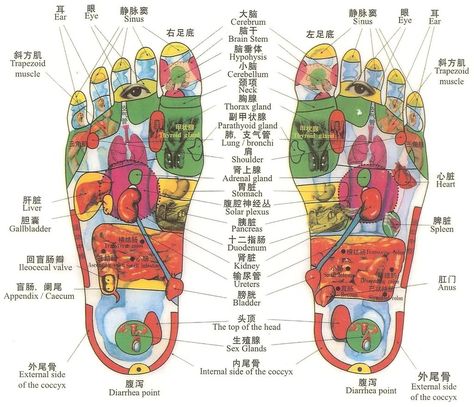 A pretty good and accurate reflexology chart. Use a small stone and press your feet on it works well 4 me Reflexology Foot Chart, Reflexology Chart, Reflexology Massage, Foot Reflexology, Walking Barefoot, Body Organs, Detox Your Body, Foot Massage, Lower Blood Pressure