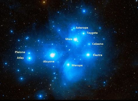 Constellation Taurus, Star Facts, 7 Sisters, Binary Star, Taurus Constellation, Star Outline, Science Astronomy, The Pleiades, Giant Star