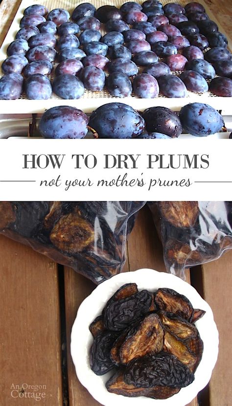 Drying Fruit, Oregon Cottage, Prune Plum, Dried Prunes, Jelly Cupboard, Food Preserving, Preserving Foods, Plum Recipes, Nourishing Traditions