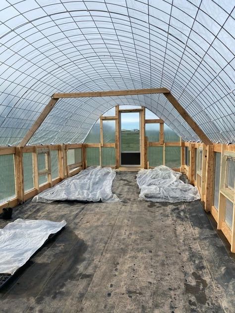 Wind Screen Ideas, Greenhouse For Trees, Diy Hoop House Greenhouse, Poly Tunnel Ideas Diy Greenhouse, Diy High Tunnel Greenhouse, Greenhouse Layout, Cattle Panel Hoop House Greenhouse, Poly Tunnel Greenhouses, Greenhouse Farming