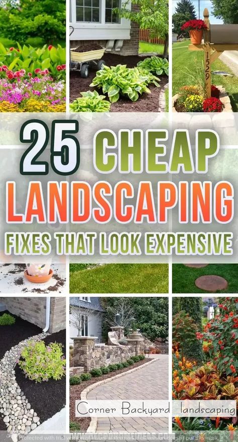 Escape the Everyday | Create Your Dream Garden Oasis at Home | Home decor | Dream backyard Cheap Landscaping, Cheap Landscaping Ideas, Yard Garden Design, Small Front Yard Landscaping, Decoration Birthday Party, Small Front Yard, Front Yard Garden Design, Magic Garden, Diy Backyard Landscaping