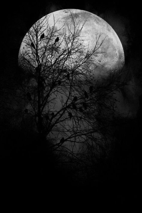 Full Moon Pictures, Beautiful Moon Pictures, Moon Pics, Night Clouds, Wallpaper Lyrics, Dinosaur Images, Rain Wallpapers, Black Painting, Goth Wallpaper