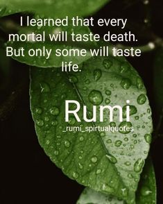 Best Rumi Quotes, Rumi Quotes Life, Sufi Mystic, Rumi Love Quotes, Rumi Love, Sufi Quotes, Buddhist Quotes, Rumi Quotes, Philosophy Quotes