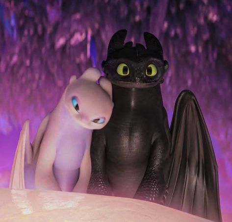 Toothless Dragon And Light Fury, Night Fury X Light Fury, Httyd Toothless And Light Fury, Toothless And Night Fury, Httyd Reference, Toothless Family, Toothless X Light Fury, Light Fury And Toothless, Night Fury And Light Fury