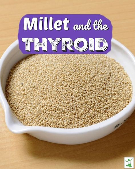 Millet is a great gluten free food. However, if you have hypothyroidism or thyroid problems, be careful how much millet you eat! Millet contains goitrogens. #millet #milletandthyroid #glutenfree #hypothyroidism #goitrogens #thehealthyhomeeconomist Millet Recipes Breakfast, How To Cook Millet, Recipes By Ingredients, Vegan Gluten Free Breakfast, Food Chemistry, Gluten Free Food, Millet Recipes, Thyroid Issues, Grain Foods