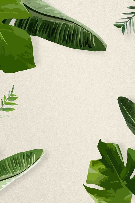 Green leaf frame psd border, banana leaf | free image by rawpixel.com / Aew Banana Leaf Background Decoration, Banana Leaves Background, Banana Leaf Logo, Lime Cocktails, Lime Margarita Recipe, Leaves Wallpaper Iphone, Banana Leaf Art, Banana Leaf Pattern, Restaurant Poster