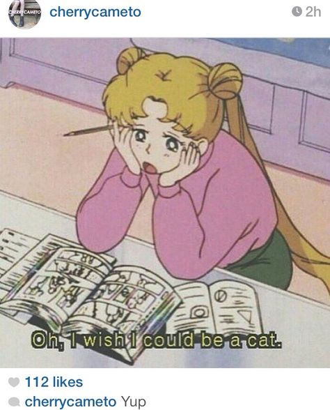 Sailor moon, "I wish I were a cat" Sailor Moon Tumblr, Moon Gif, Moon Makeup, Sailor Moon Gif, Sailor Moon Quotes, Moon Icon, Arte Sailor Moon, Sailor Scout, Sailor Moon Aesthetic