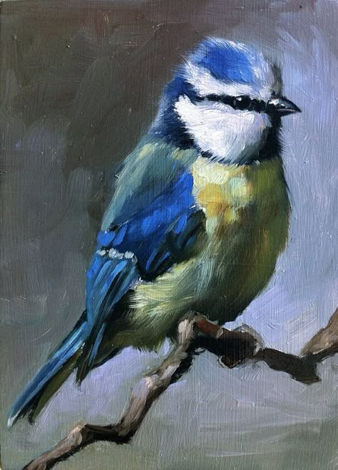 Bluetit - original oil painting Bird Sitting On A Branch, Birds To Paint, Paintings Of Birds, Bird Sitting, Painting Birds, Bird Paintings, Birds Art, Bird Painting, Art Et Illustration