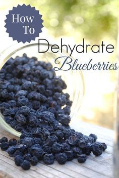 Dehydrate Blueberries, Dehydrator Recipes Fruit, Dehydrating Food Storage, Food Dehydration, Dehydrated Vegetables, Canning Food Preservation, Food Dehydrator, Dehydrated Fruit, Dehydrated Food