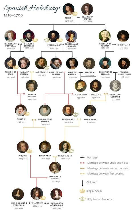 The Spanish Habsburg family tree Habsburg Family Tree, Habsburg Family, Spanish Family Tree, Spanish History, King Of Spain, Weird History, Royal Houses, Royal Family Trees, Charles Ii