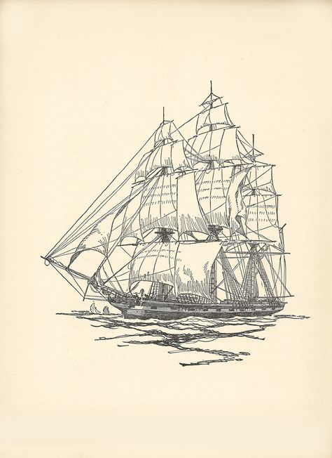 The Packet Ship , 7" x 11" print on paper. From The Book of Old Ships, Drawing by Gordon Grant, 1924 Old Ship Drawing, Ships Drawing, Pirate Ship Tattoos, Ship Sketch, Stylo Art, Boat Drawing, Wooden Ship Models, Old Sailing Ships, Maritime Art