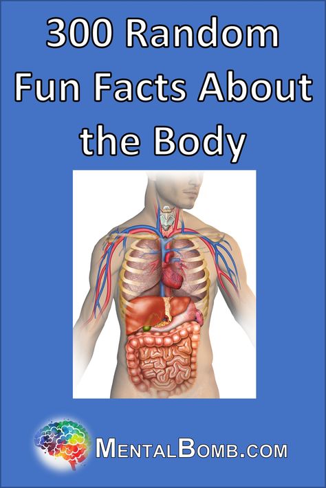 We've created this list of 300 random fun facts about the body for your enjoyment and for you to share with friends! #FunFacts Random Fun Facts, Science Facts Mind Blown, Fun Facts Mind Blown, Science Facts, Funny Facts, Mind Blown, Facts About, The Body, Fun Facts