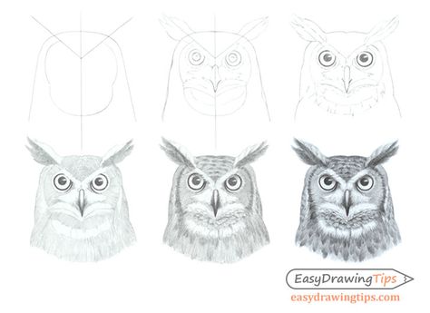 How to Draw an Owl's Face & Head Step by Step - EasyDrawingTips Owl Drawing Simple, Head Step By Step, Draw An Owl, Face Step By Step, Owl Face, Owl Head, Face Line Drawing, Drawing Examples, Ideas Videos