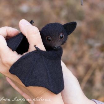 Baby Bats, Baby Animals Pictures, Baby Animals Funny, Cute Animal Pictures, Cute Creatures, Sweet Animals, Felt Animals, Cute Little Animals, 귀여운 동물