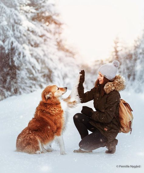 friendship in winter ...Location: Lillomarka, Norway / by Pernille Nygård Dog Photography Winter, Pet Photography Poses, Dog Photography Poses, Snow Photoshoot, Photos With Dog, Dog Business, Dog Photoshoot, Winter Inspiration, Me And My Dog