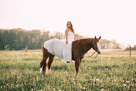 Horse Photoshoot Ideas, Equine Photography Poses, Equine Photoshoot, Horse Senior Pictures, Westminster Maryland, Horse Portraits, Horse Photoshoot, Horse Photography Poses, Vivid Photography