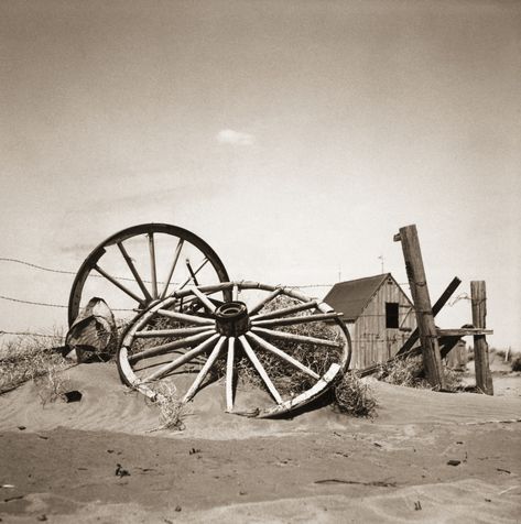 10 Things You May Not Know About the Dust Bowl. Explore 10 surprising facts about America's epic drought disaster—the Dust Bowl. Abandoned Landscape, Abandoned Farm, Dust Bowl, Oklahoma, Bowl, History