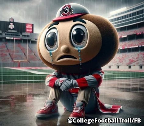 Brutus Buckeye, Buckeye Nation, Ohio State Football, Ohio State, Ohio