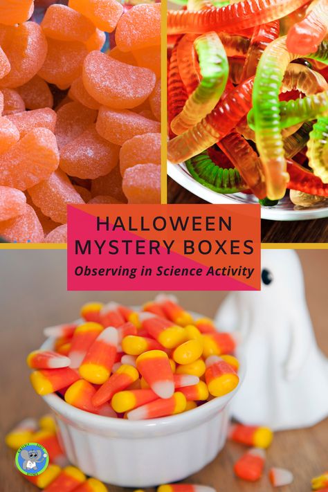 Mystery Sensory Boxes Halloween, Mystery Boxes For Halloween, Halloween Touch And Feel Box Ideas, Whats In The Box Game Ideas Halloween, Mystery Feel Box Ideas, Mystery Halloween Box Ideas, Halloween Touch And Feel Game Ideas, Halloween Sensory Mystery Boxes, Halloween Party Mystery Box Game