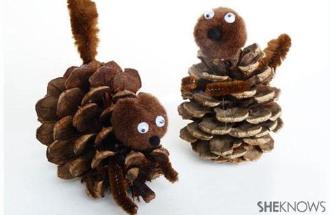 Make your own Surly pine cone squirrel craft – SheKnows Squirrel Crafts, Squirrel Craft, Outer Space Crafts, Red Squirrels, Pine Cone Bird Feeder, Monster Treats, Pinecone Crafts Kids, Space Crafts For Kids, Scout Swaps