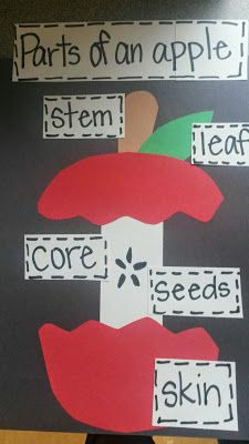 Apples Apple Theme Art Activities For Preschool, Back To School Lessons Preschool, Prek Apple Theme, Rosh Hashanah Crafts Preschool, Rosh Hashana Preschool, Apples Prek, Apples Activities, Apple Lesson Plans, Apple Crafts Preschool