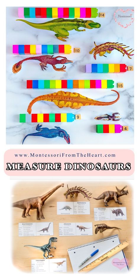 Numeracy For Preschoolers, Dino Stem Activities Preschool, Measurements Activities For Preschoolers, Early Numeracy, Dinosaur Ideas For Preschool, Dinosaur Activity For Preschool, Easy Dino Activities, Blocks Activities Preschool, Dinosaurs Activities