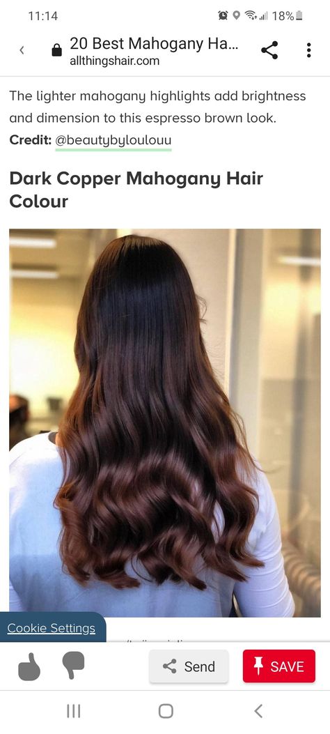 Global Hair Colour, Mahogany Highlights, Global Hair Color, Mahogany Hair, Hair Color Mahogany, Global Hair, Dark Copper, Espresso Brown, Hair Colour