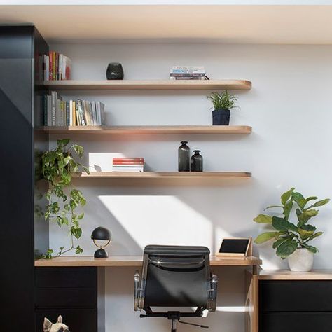 Curvy House, Northcote / Ben Callery Architects Curvy House, Shelves Above Desk, Architect Inspiration, Diy Floating Shelves, Home Office Shelves, Office Shelf, Bedroom Walls, Floating Shelves Diy, Workspace Design