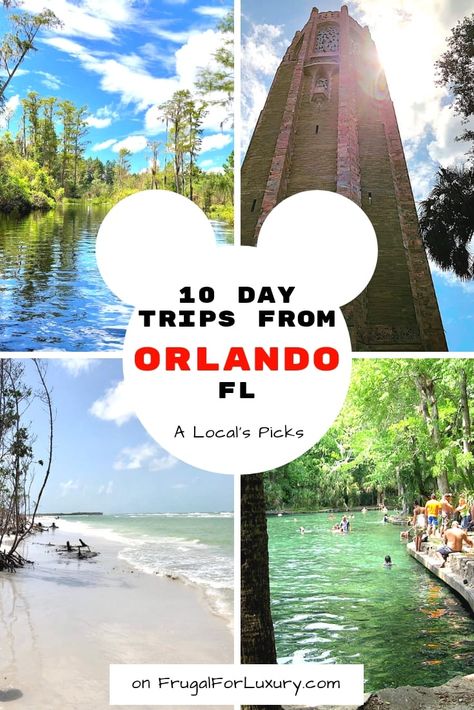 Orlando Florida Vacation, Things To Do In Orlando, Universal Trip, Florida Holiday, Travel Florida, Florida Travel Guide, Visit Orlando, Usa Destinations, Florida Adventures