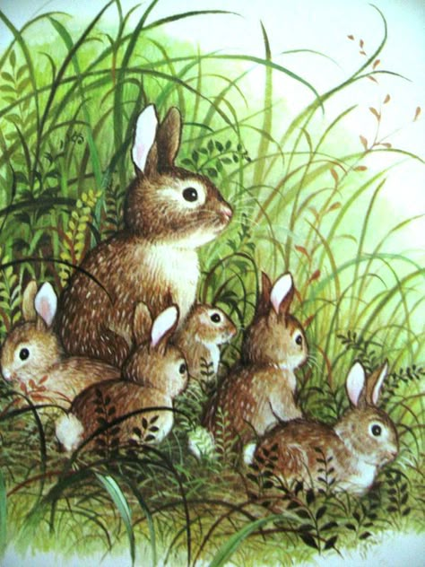 The magnificent Gyo Fujikawa Gyo Fujikawa, Rabbit Family, Bunny Family, Art Mignon, Wonders Of Nature, Easter Images, Rabbit Art, Bunny Art, All Recipes