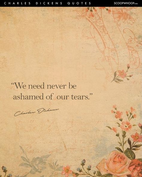 Pixie Quotes, Best Literary Quotes, Dickens Quotes, Romantic Literature, Reality Check Quotes, Sharp Tongue, Charles Dickens Quotes, Marlene Mckinnon, John Green Quotes