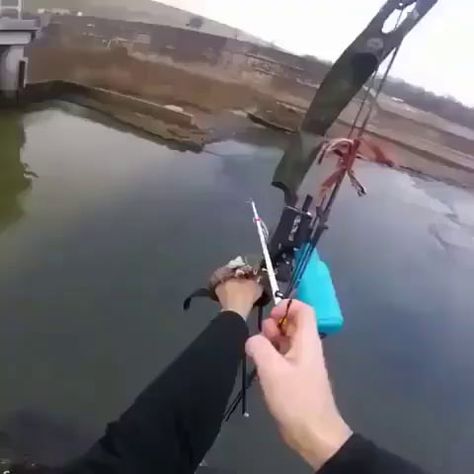 Bow Fishing, Bowfishing, Prank Videos, Fishing Humor, Best Fishing, Best Funny Pictures, Funny Clips, Meme Pictures, New Memes