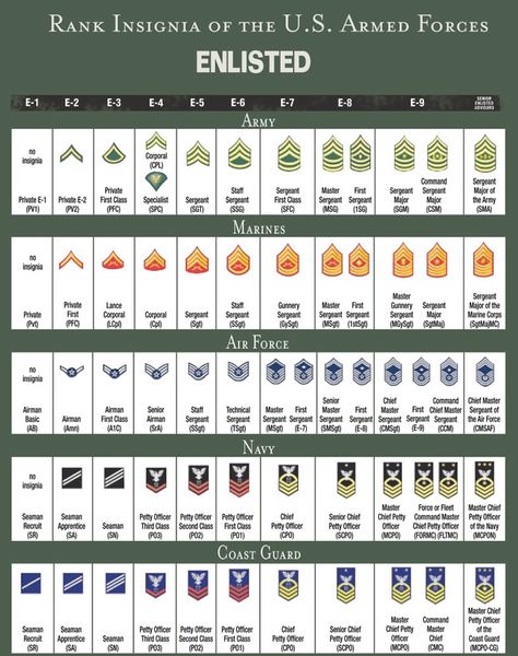 RANK STRUCTURE AND INSIGNIA OF ENLISTED MILITARY PERSONNEL - ALL BRANCHES OF US MILITARY SERVICE Army Ranks, Military Ranks, Military Records, Military Insignia, Staff Sergeant, Ayat Alkitab, Military Love, United States Military, Military Service