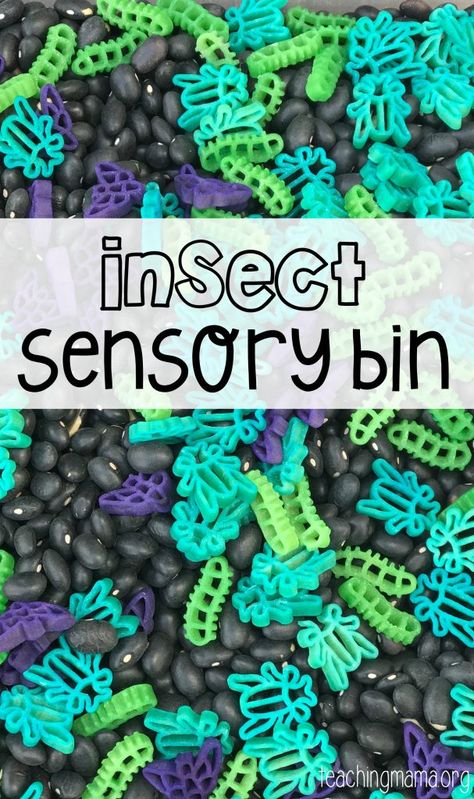 Insect Sensory Bin Reptile Sensory Bin, Macaroni Sensory Bin, Camping Sensory, Insect Sensory Bin, Bee Sensory Bin, Insect Sensory, Preschool Spring, Insects Preschool, Sensory Tubs