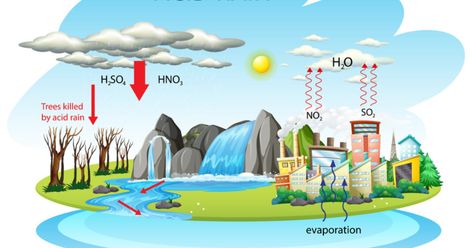 Acid Rain: Causes, Effects and Solutions Water Cycle Poster, Pollution Pictures, Rain Cycle, Hydroelectric Energy, Acid Rain, Aquatic Ecosystem, Itachi Uchiha Art, Water Pollution, Water Cycle