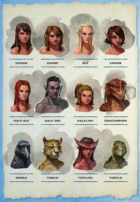 Rpg Character Sheet, Dungeons And Dragons Races, Dnd Character Sheet, Dnd Races, Dungeons And Dragons Art, Armor Clothing, Dnd Dragons, Critical Role Fan Art, Fantasy Races