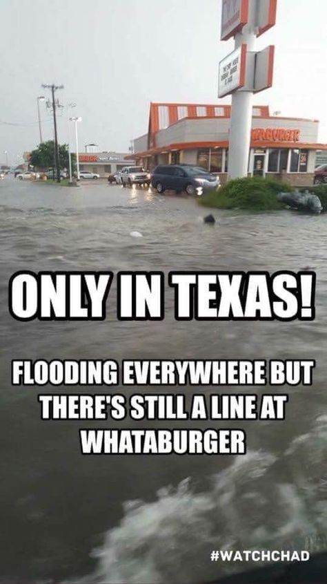 I will swim to whataburger! Southern Humor, Texas Humor, Texas Baby, Only In Texas, Texas Life, Republic Of Texas, Texas Forever, Loving Texas, Texas Travel