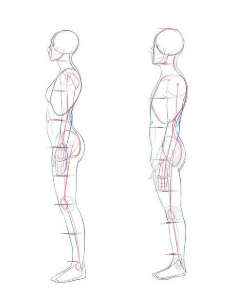 Drawing Poses Male, Male Body Drawing, Human Anatomy Drawing, Body Drawing Tutorial, Human Anatomy Art, Anatomy Sketches, Body Reference Drawing, Anatomy Drawing, Figure Drawing Reference