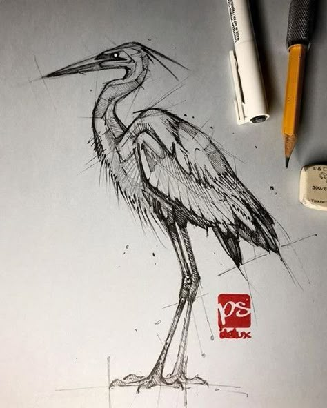 Heron Sketch, Pencil Drawings Of Animals, Bird Sketch, Animal Drawings Sketches, Paper Pencil, Geometric Drawing, Cute Drawing, Animal Sketches, Bird Drawings